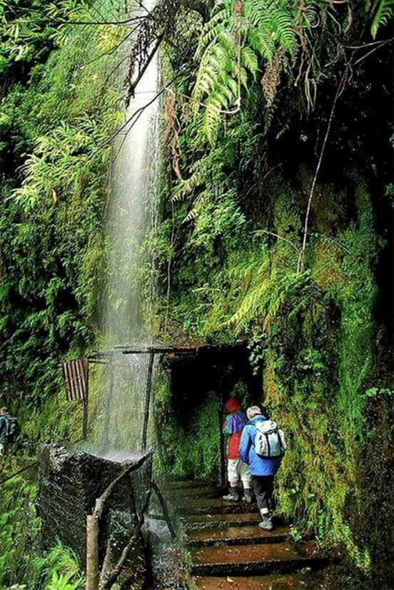 Casa Tipica De Santana - Casa Do Avo Villa Dış mekan fotoğraf
